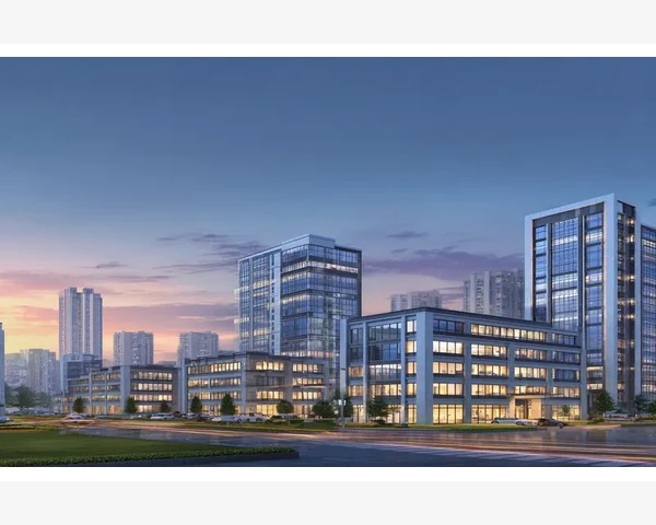 气血不足的手掌：阴阳失调，健康重建的关键