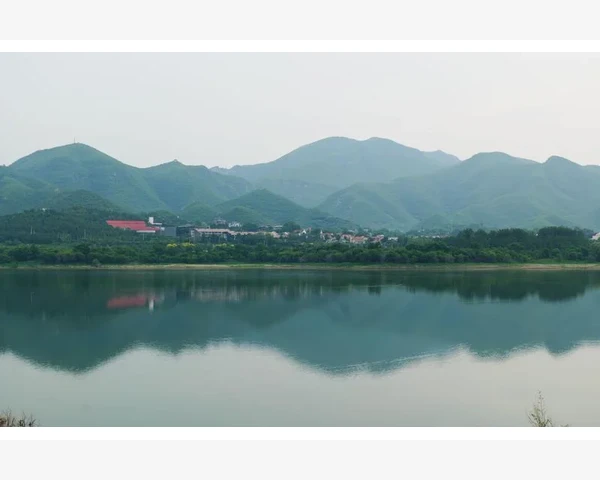 脾胃虚弱与家长沟通：科学护娃，携手共进